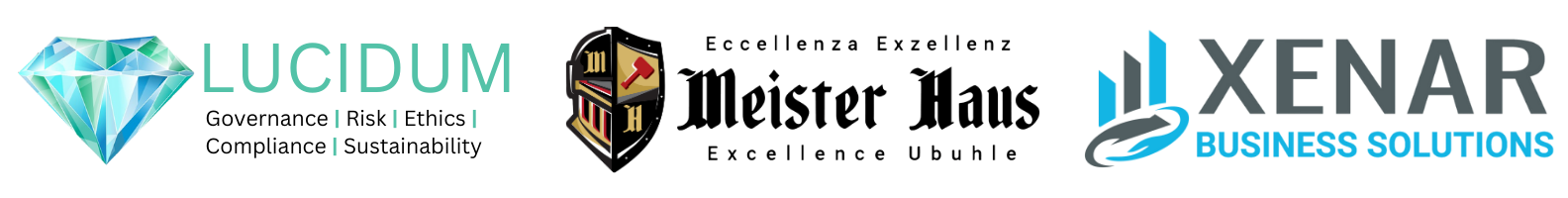 Professional LinkedIn Banner (7)